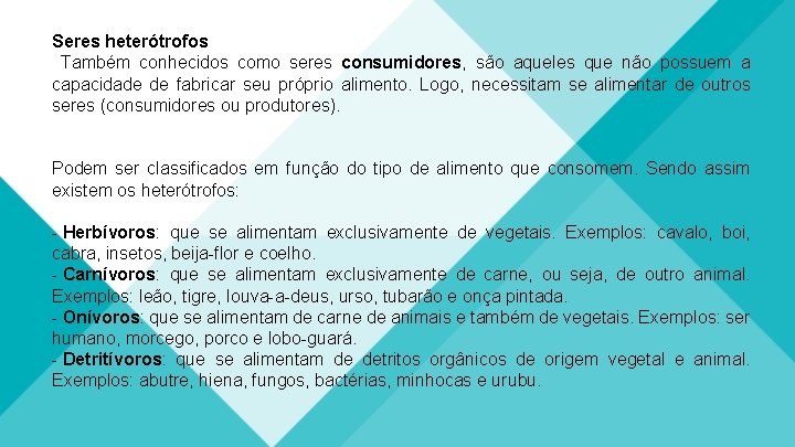 Seres heterótrofos Também conhecidos como seres consumidores, são aqueles que não possuem a capacidade