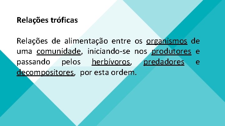 Relações tróficas Relações de alimentação entre os organismos de uma comunidade, iniciando-se nos produtores