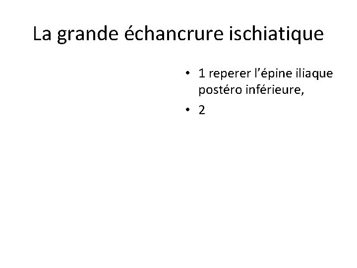La grande échancrure ischiatique • 1 reperer l’épine iliaque postéro inférieure, • 2 La grande échancrure ischiatique • 1 reperer l’épine iliaque postéro inférieure, • 2
