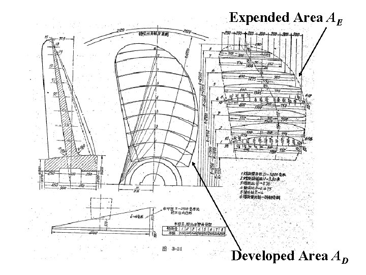 Expended Area AE Developed Area AD 