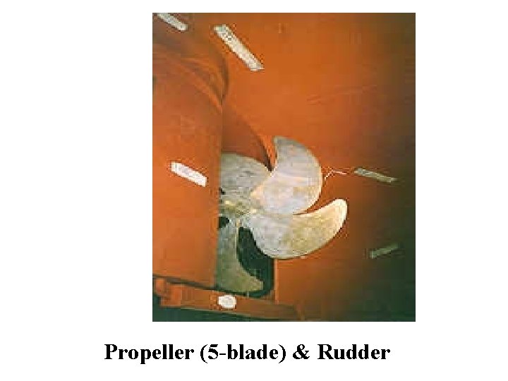 Propeller (5 -blade) & Rudder 