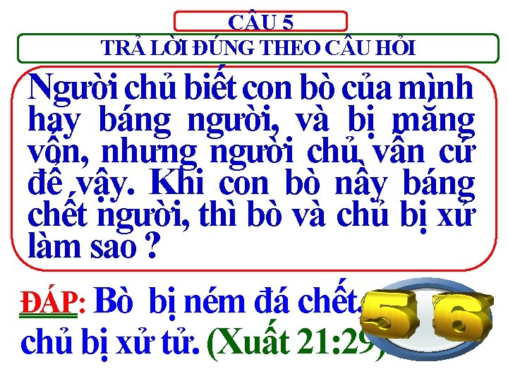 C U 5 TRẢ LỜI ĐÚNG THEO C U HỎI Người chủ biết con