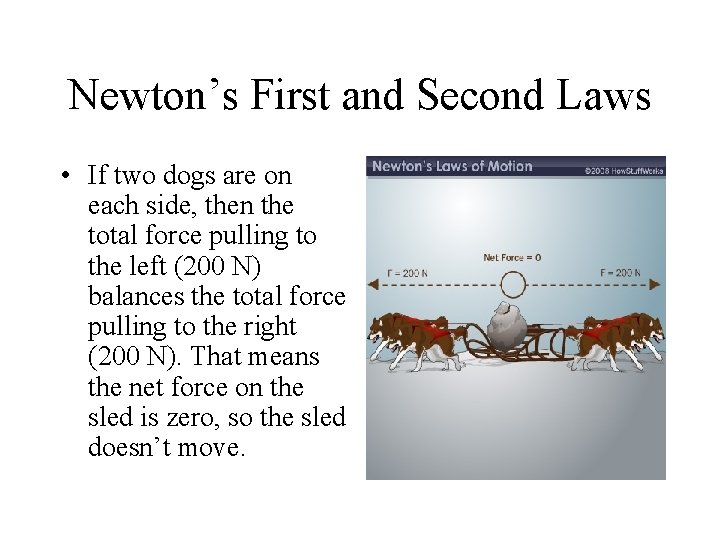 Newton’s First and Second Laws • If two dogs are on each side, then Newton’s First and Second Laws • If two dogs are on each side, then