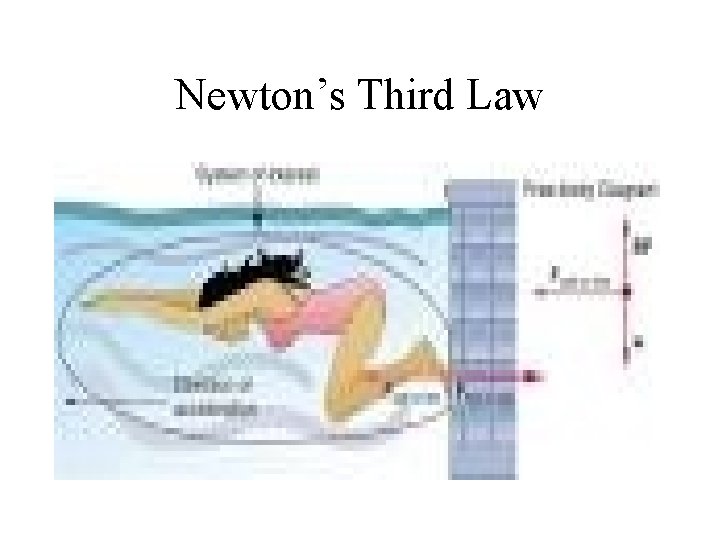 Newton’s Third Law Newton’s Third Law