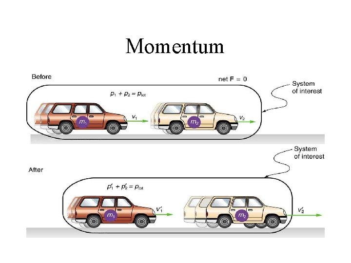 Momentum Momentum