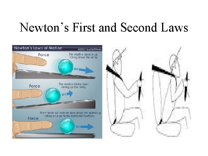 Newton’s First and Second Laws Newton’s First and Second Laws