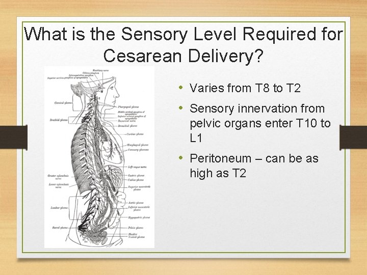 What is the Sensory Level Required for Cesarean Delivery? • Varies from T 8