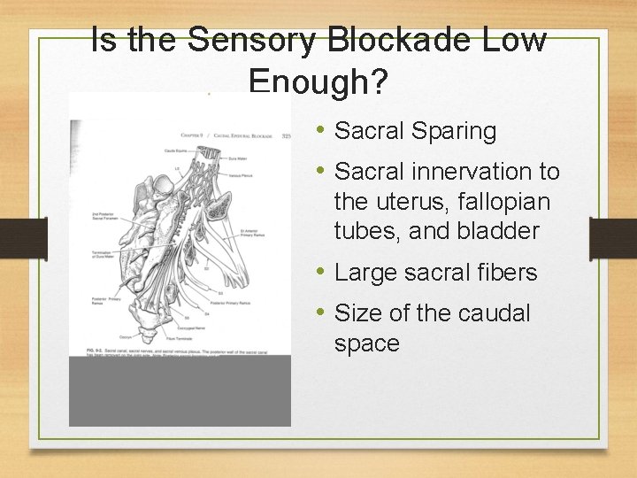 Is the Sensory Blockade Low Enough? • Sacral Sparing • Sacral innervation to the