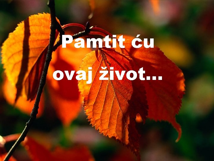 Pamtit ću ovaj život. . . 