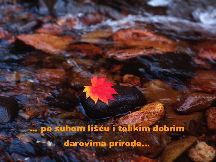 . . . po suhom lišću i tolikim dobrim darovima prirode. . . 