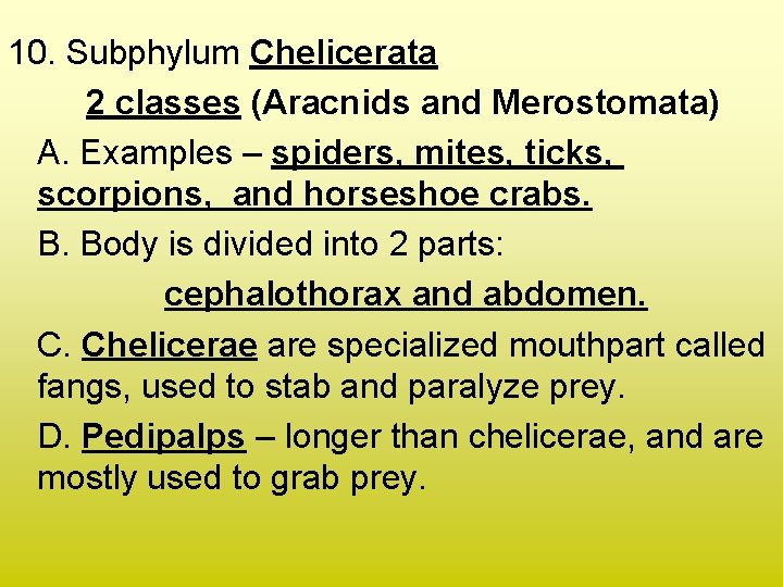 10. Subphylum Chelicerata 2 classes (Aracnids and Merostomata) A. Examples – spiders, mites, ticks,