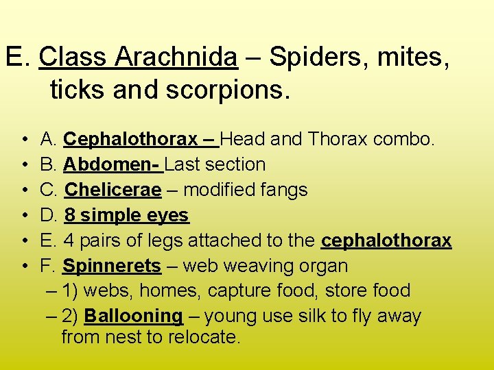 E. Class Arachnida – Spiders, mites, ticks and scorpions. • • • A. Cephalothorax