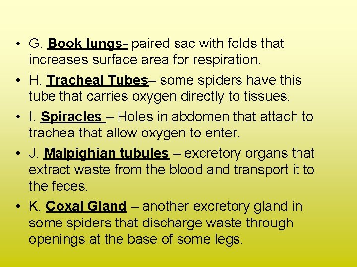  • G. Book lungs- paired sac with folds that increases surface area for