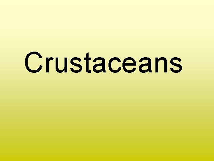 Crustaceans 