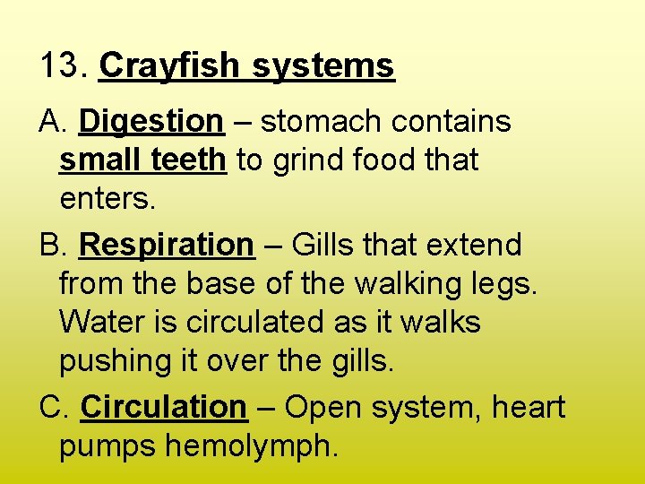 13. Crayfish systems A. Digestion – stomach contains small teeth to grind food that