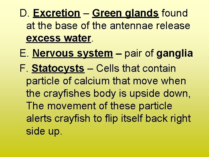 D. Excretion – Green glands found at the base of the antennae release excess