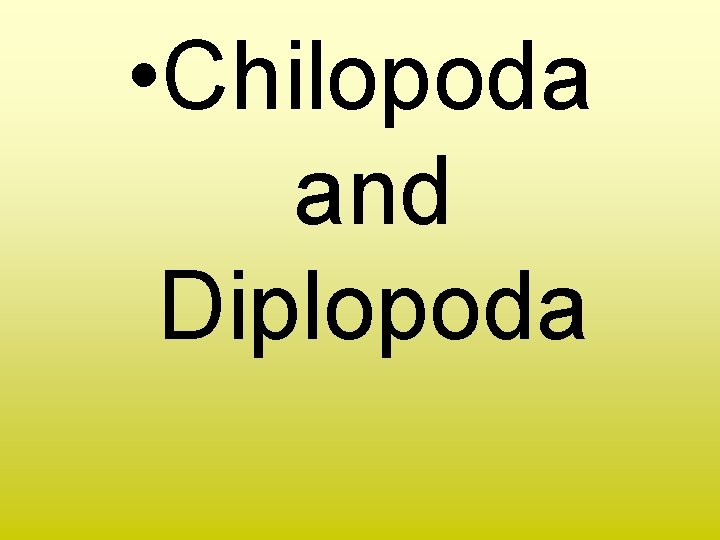  • Chilopoda and Diplopoda 