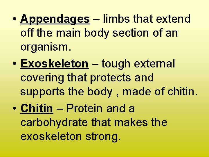  • Appendages – limbs that extend off the main body section of an