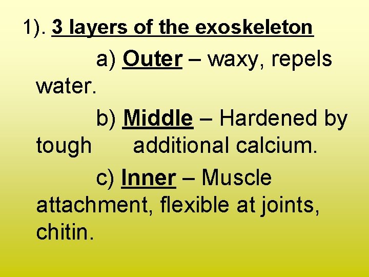 1). 3 layers of the exoskeleton a) Outer – waxy, repels water. b) Middle