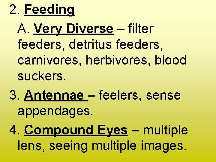 2. Feeding A. Very Diverse – filter feeders, detritus feeders, carnivores, herbivores, blood suckers.