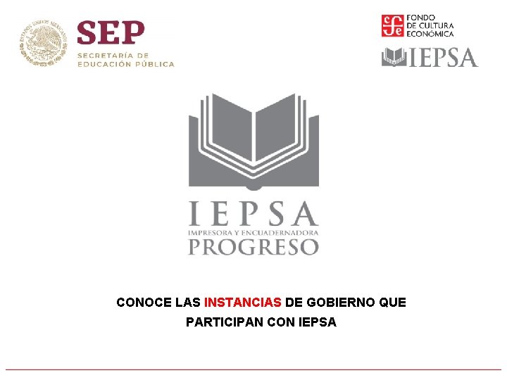 CONOCE LAS INSTANCIAS DE GOBIERNO QUE PARTICIPAN CON IEPSA 