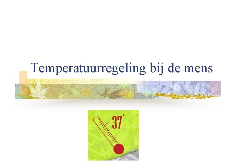 Temperatuurregeling bij de mens 