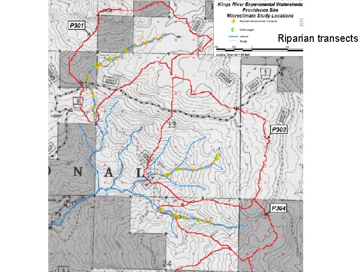 Riparian transects 