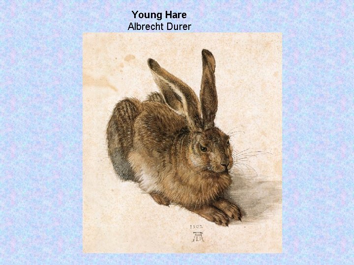 Young Hare Albrecht Durer 