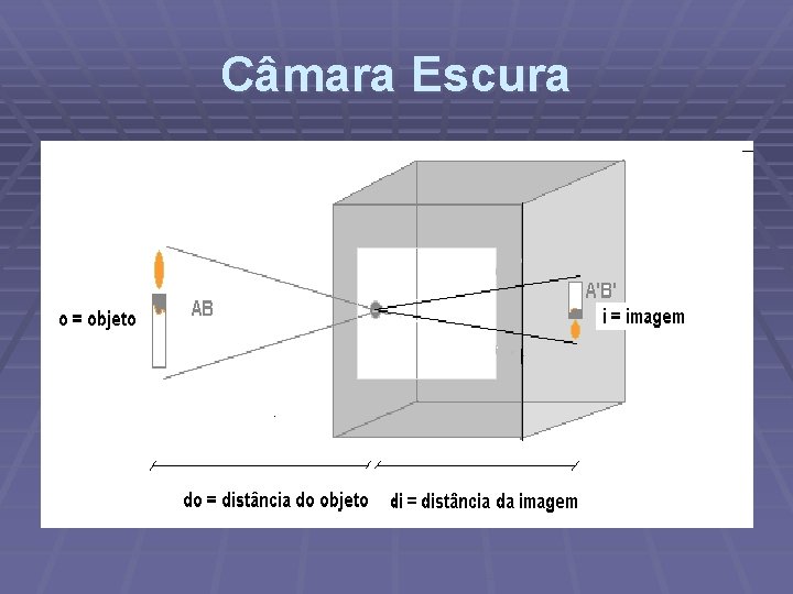Câmara Escura 