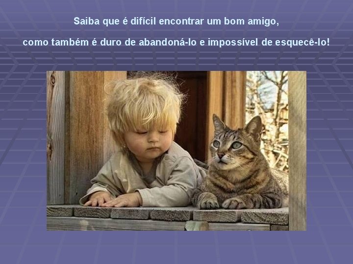 Saiba que é difícil encontrar um bom amigo, como também é duro de abandoná-lo
