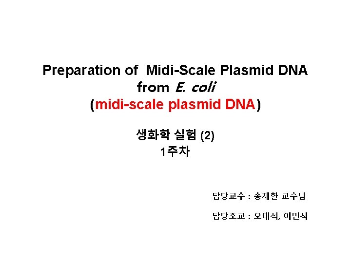 Preparation of Midi-Scale Plasmid DNA from E. coli (midi-scale plasmid DNA) 생화학 실험 (2) Preparation of Midi-Scale Plasmid DNA from E. coli (midi-scale plasmid DNA) 생화학 실험 (2)