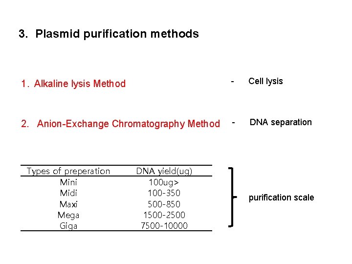 3. Plasmid purification methods 1. Alkaline lysis Method - Cell lysis 2. Anion-Exchange Chromatography 3. Plasmid purification methods 1. Alkaline lysis Method - Cell lysis 2. Anion-Exchange Chromatography