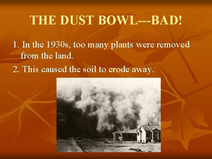 THE DUST BOWL---BAD! 1. In the 1930 s, too many plants were removed from