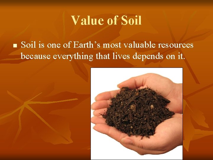 Value of Soil n Soil is one of Earth’s most valuable resources because everything