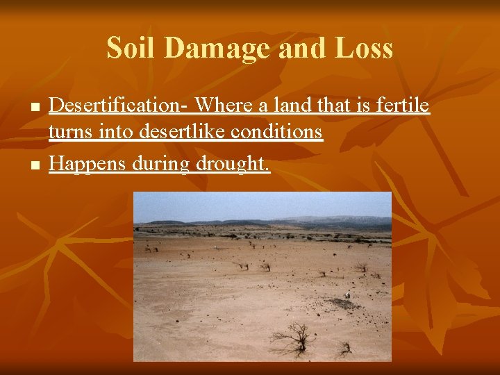 Soil Damage and Loss n n Desertification- Where a land that is fertile turns