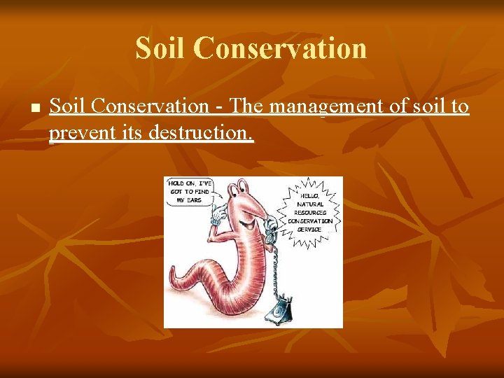 Soil Conservation n Soil Conservation - The management of soil to prevent its destruction.