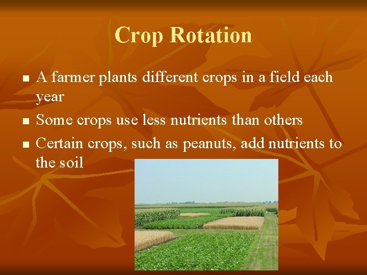 Crop Rotation n A farmer plants different crops in a field each year Some