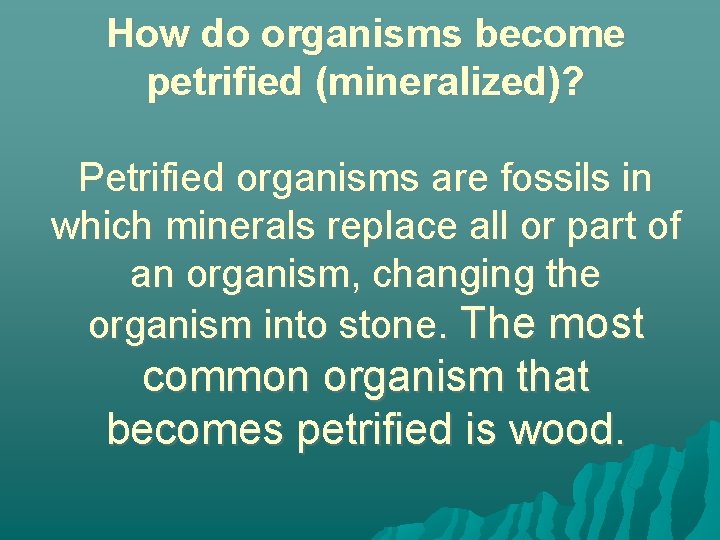 How do organisms become petrified (mineralized)? Petrified organisms are fossils in which minerals replace