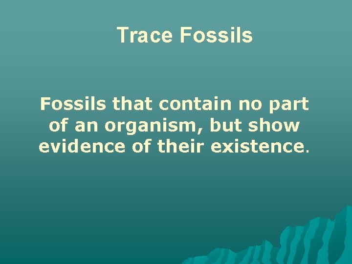 Trace Fossils that contain no part of an organism, but show evidence of their