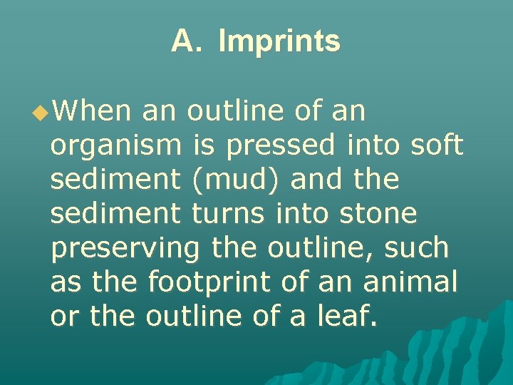 A. Imprints When an outline of an organism is pressed into soft sediment (mud)