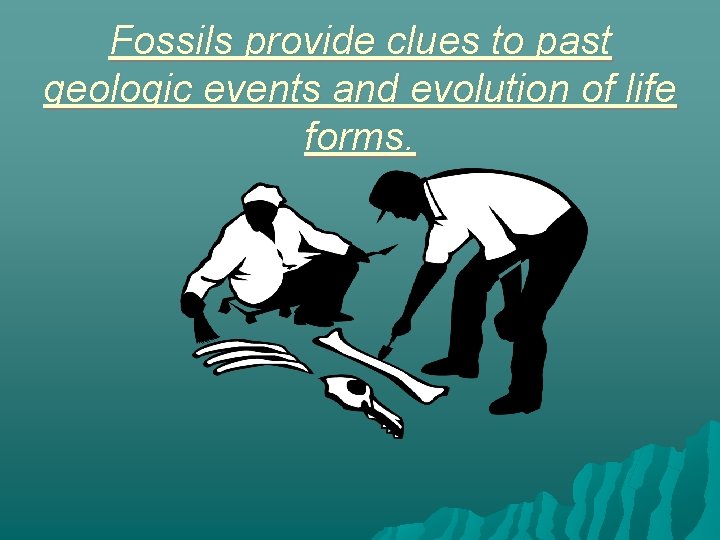 Fossils provide clues to past geologic events and evolution of life forms. 