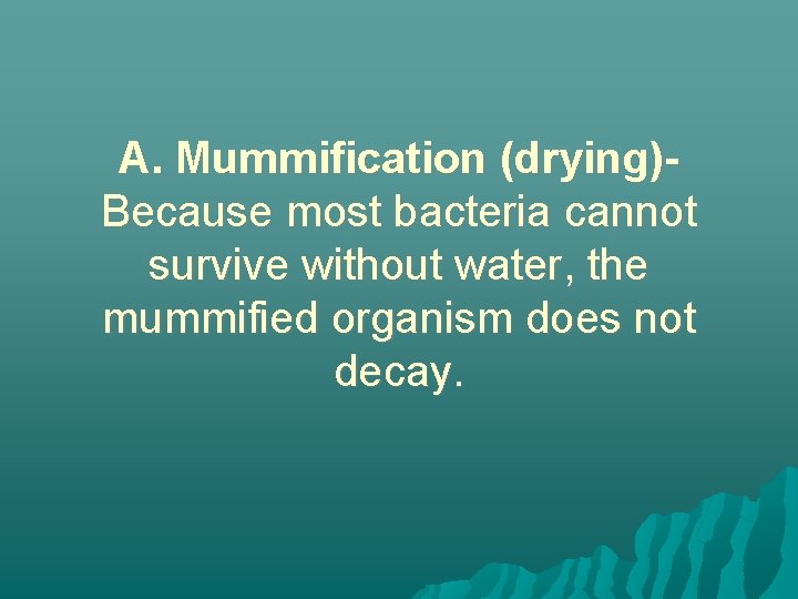 A. Mummification (drying)Because most bacteria cannot survive without water, the mummified organism does not