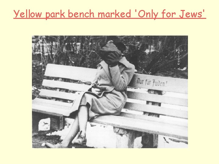 Yellow park bench marked 'Only for Jews' 