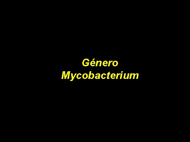 Género Mycobacterium 