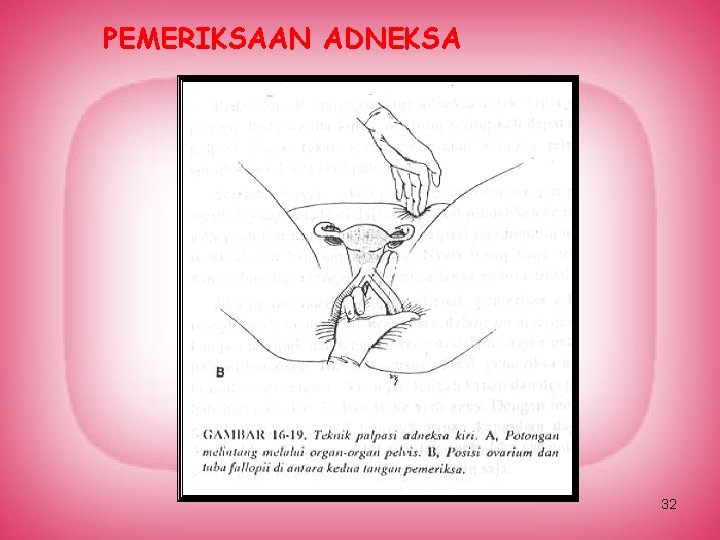PEMERIKSAAN ADNEKSA 32 