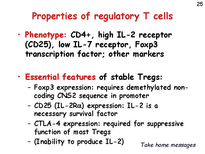 25 Properties of regulatory T cells • Phenotype: CD 4+, high IL-2 receptor (CD