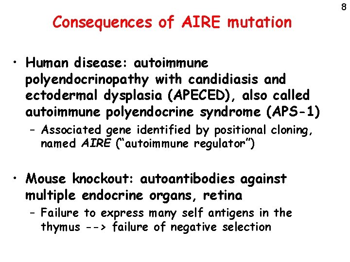 Consequences of AIRE mutation • Human disease: autoimmune polyendocrinopathy with candidiasis and ectodermal dysplasia