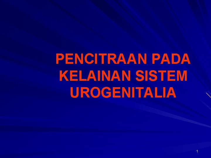 PENCITRAAN PADA KELAINAN SISTEM UROGENITALIA 1 