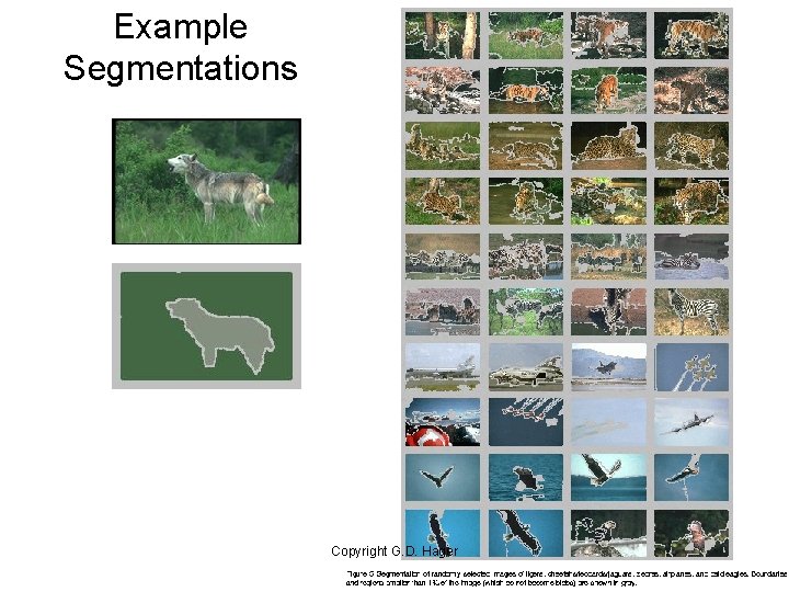 Example Segmentations Copyright G. D. Hager 