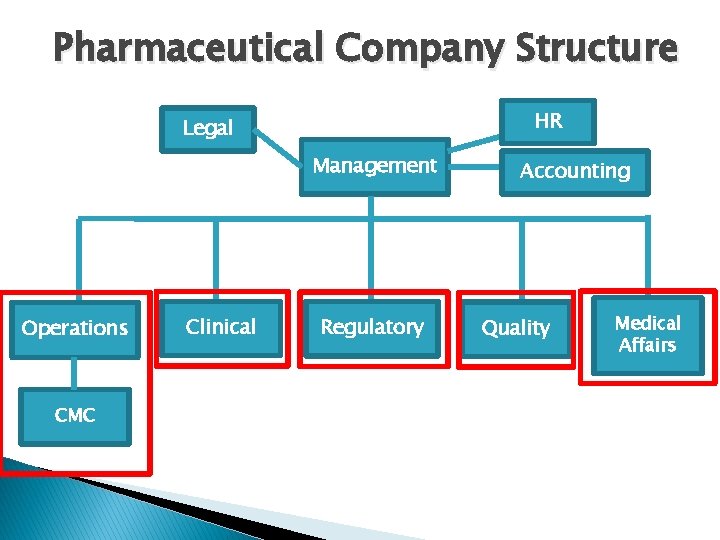 Pharmaceutical Company Structure HR Legal Management Operations CMC Clinical Regulatory Accounting Quality Medical Affairs